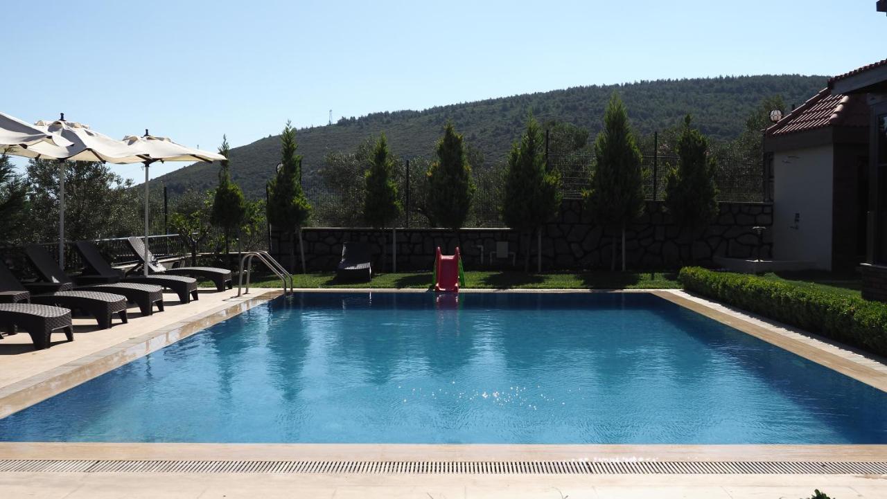 Myosotis Boutque Oel Hotel *
