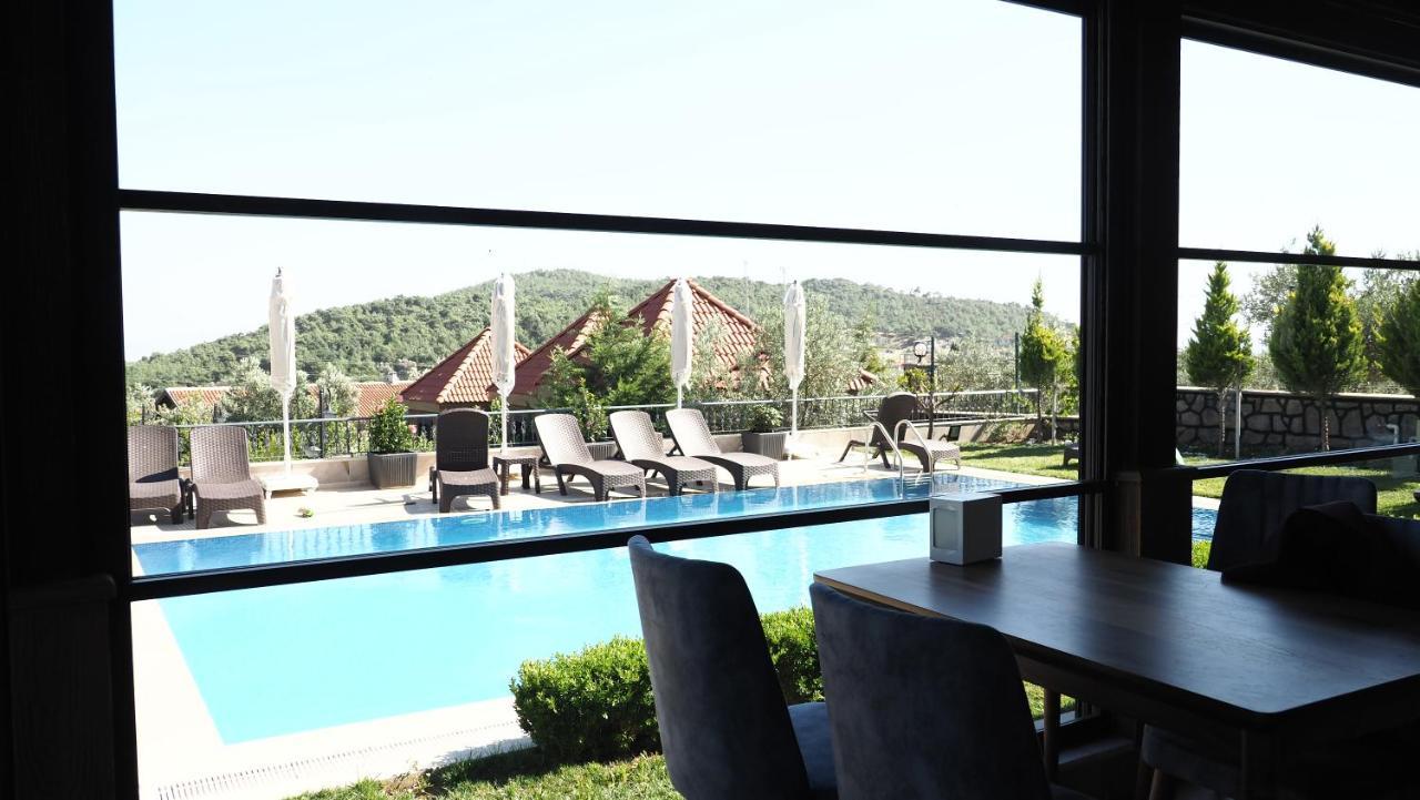 Hotel Myosotis Boutque Oel *