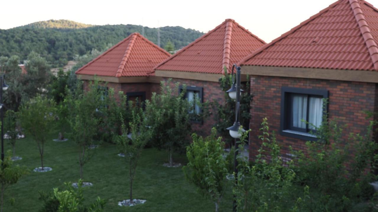Hotel Myosotis Boutque Oel *